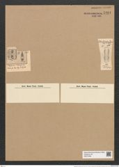 Plagiogramma biharense Pant. (de-Toni-Nr.: Genus 83, Species 2912) Zeichnungen Sammlung Grunow Nr. 5901 (NHMW-BOT-W0374358)